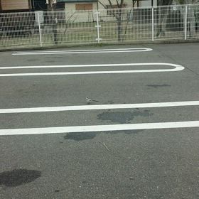 コンビニにいる小さな鳥の画像