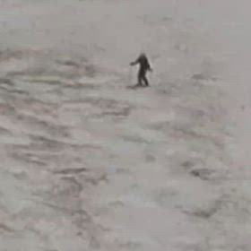 速報動画の画像