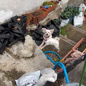 元気　！の画像