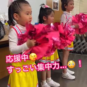 チームプリン✨の画像