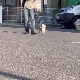 小春日和の画像