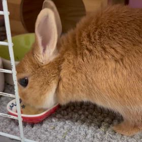 病院行ってきましたの画像