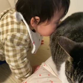 猫に育てられた女の子。の画像