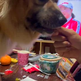 ハルのお客様、ありがとうの画像