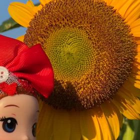 8月もよろしく❤️ひまわり蜜蜂の画像