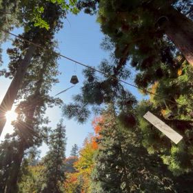 レイキエネルギーは素晴らしいの画像