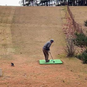 秋日和　パークゴルフでナイスショット(^^)の画像