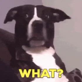 中山牝馬ステークス　結果は(◞‸◟)の画像