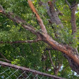 内側とことばの画像