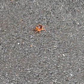 雨の日の朝の画像