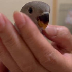 夏休みありがとうございました♡の画像