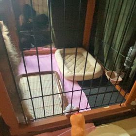 出して❣️出して❣️の画像