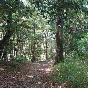 鎌倉街道の画像