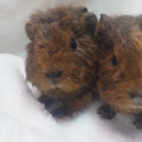 ご予約頂きました！の画像