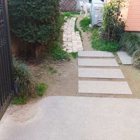 散歩から帰ってきた満天を迎えるココの画像