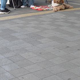 殺処分ゼロを駅前で訴えてるの画像