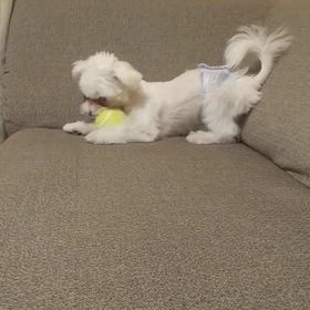 2024年7月28日日曜日の画像