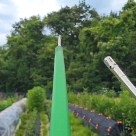 きょうは猿の画像