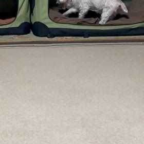 2024/04/09        今日も、ホリホリするのだ！の画像