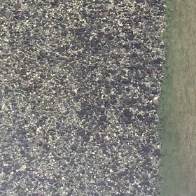 遡上調査へ〜の画像