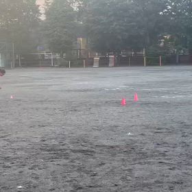 日清カップリレー練習（6/4①）の画像