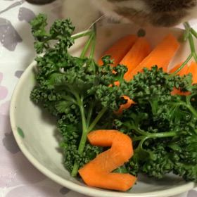 まりん2歳お誕生日の画像