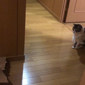 出たー！コロナ保険請求と母の保険金はスマホで出来なかった。の画像