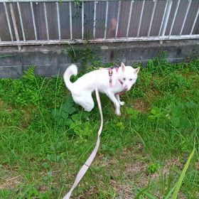 タイムラプスの画像