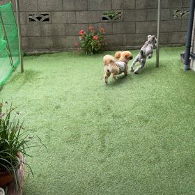 わたし嫌がられてる❓の画像