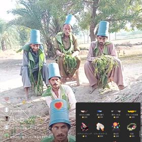 やってみたかったの画像