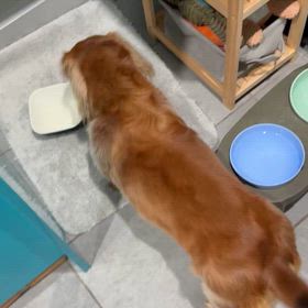 食べたらお片付けの画像