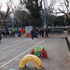 越谷大会リレー選考会（男子）②の画像