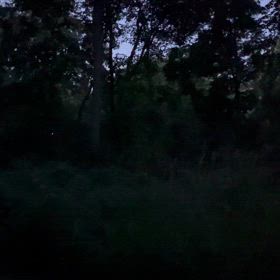 アメリカ、シカゴ在住。日常のひとコマの画像