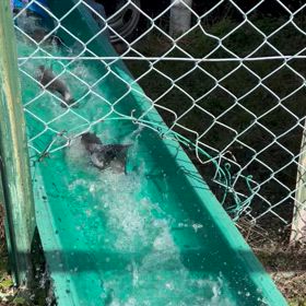 ☆2024試し放流☆の画像