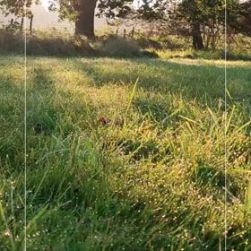 Canva超超初心者の画像