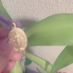 植物の聖霊さんにとても救われました☺︎植物のお世話が楽しい今日このごろ☺︎の画像