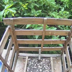 すぎぴたんの事件簿シーズン3　528話（落し物はお持ち帰りください。ヒヨドリ）の画像