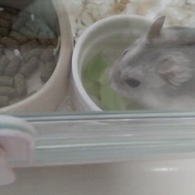 今日の様子の画像