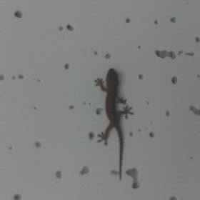 やもさんをの画像