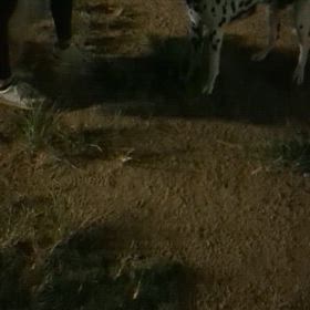 久しぶり。の画像