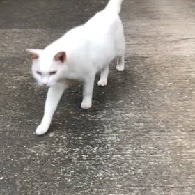 1年前の今日の画像