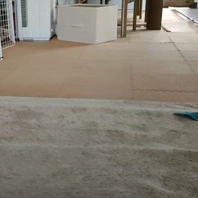 このわんこ 凶暴につき・・・・の画像