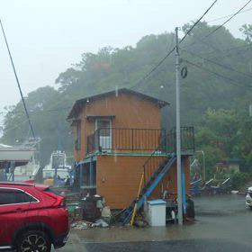 続報:風が吹いてきました〜の画像