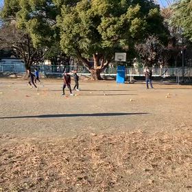 基本動作(ボール投げの場)⑤の画像