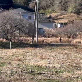 越生駅伝試走⑤の画像