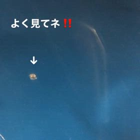 撮ったー!！の画像