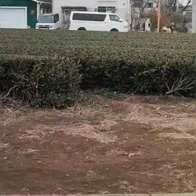 中間点（３区動画）②の画像