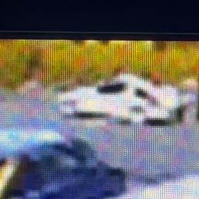 邪魔になって西へ移動。の画像