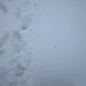 日の出の国から2026の画像