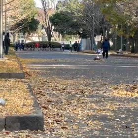 最終選考会(男子スタート)の画像